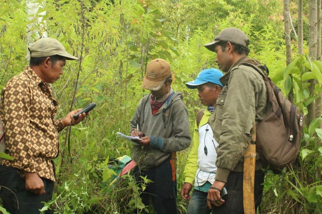 Laporan Dampak Kebakaran Hutan terhadap Ekosistem dan Kehidupan Masyarakat Sekitar