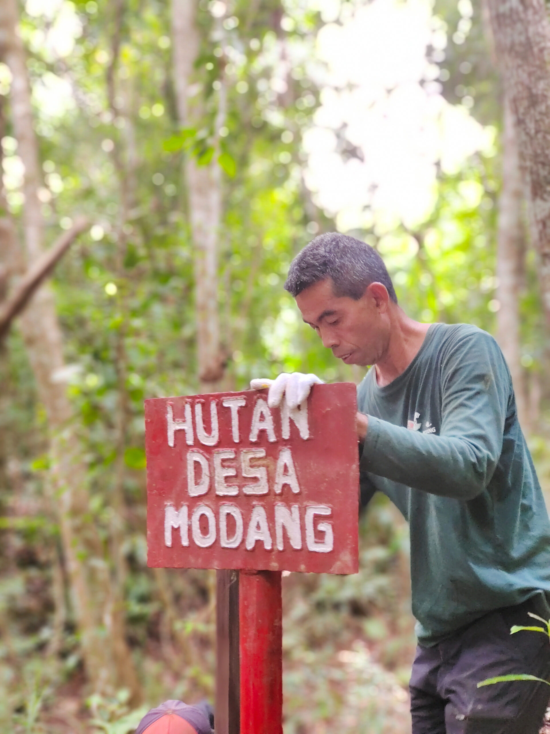 Menapaki Hutan Desa Modang